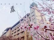 等閑識(shí)得東風(fēng)面，萬(wàn)紫千紅總是春